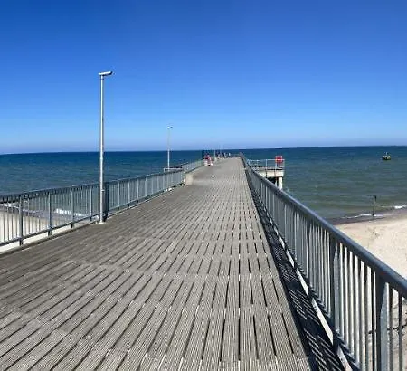 Zagajka Sun *