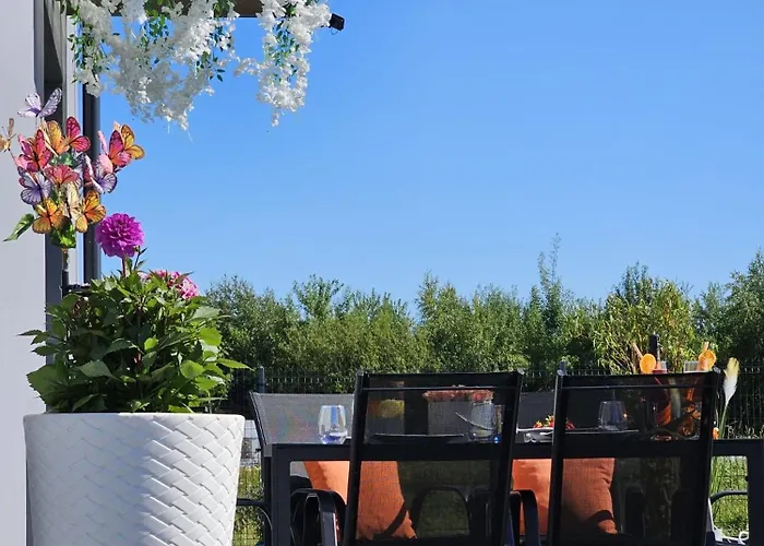 Zagajka Sun * Sarbinowo